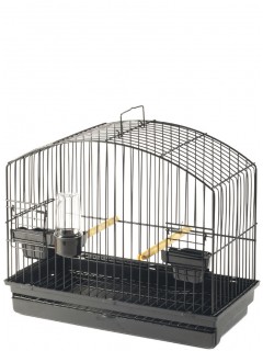 STA display cage BORDER - 1